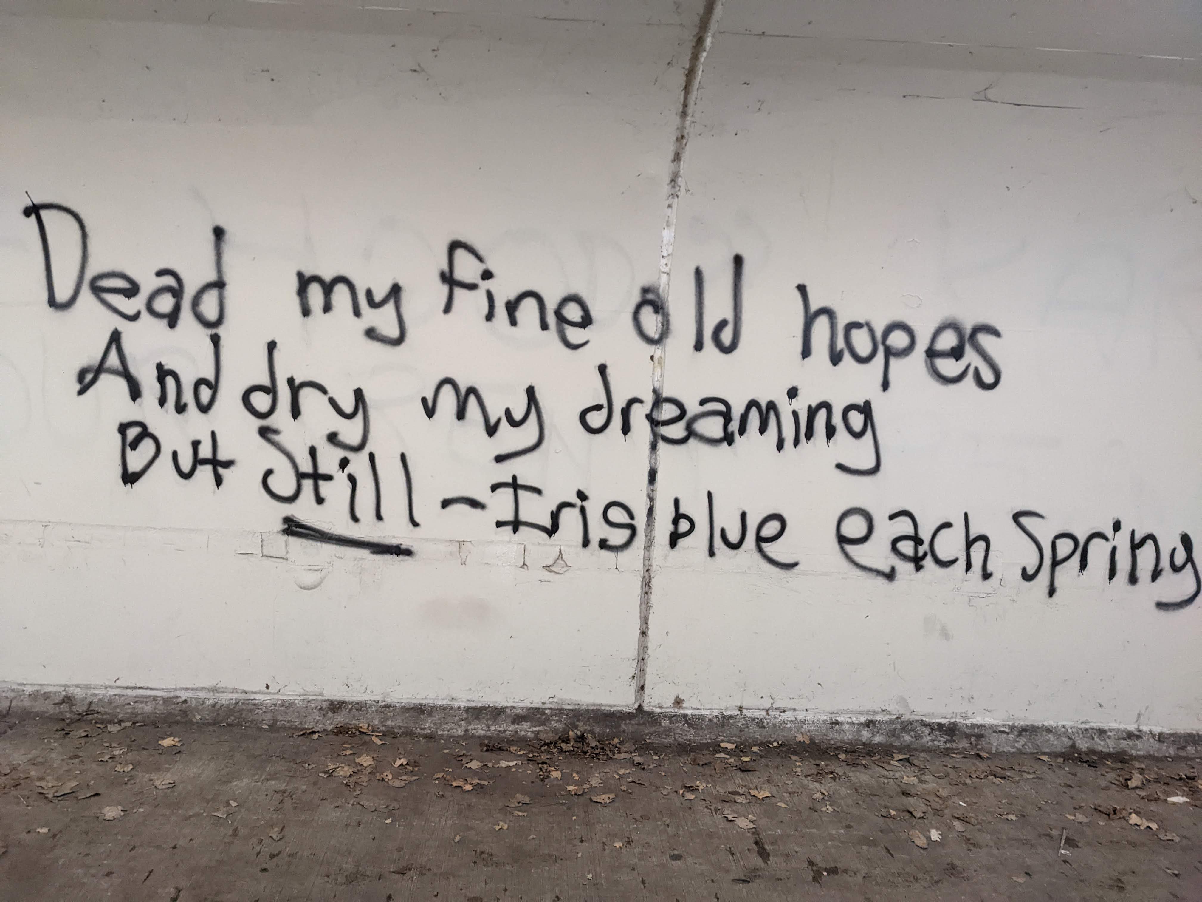 Tunnel Poem